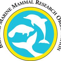 Bahamas Marine Mammal Research Organisation