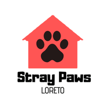 Stray Paws Loreto Asociacion Civil