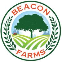 Beacon of Hope Cayman Foundation Ltd.