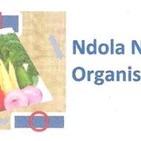 Ndola Nutrition Organisation