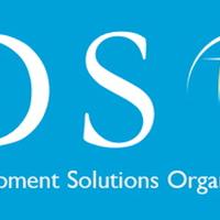 Development Solutions Organization (DSO)