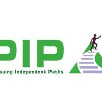 PIP - Pursuing Independent Paths