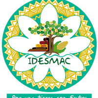 Instituto para el Desarrollo Sustentable en Mesoamerica A.C.