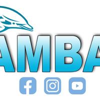 AMBAS (Women's Association of Barra de Santiago)