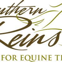 Southern Reins Center For Equine Therapy