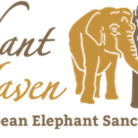 Elephant Haven - European Elephant Sanctuary (EHEES)